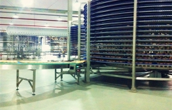 食品加工行业——广东曼可顿食品