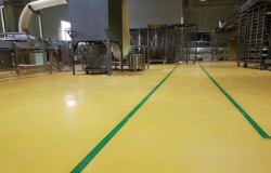 糖果食品加工行业——中粮金帝