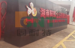 休闲食品加工行业——绝味鸭脖