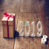新年快乐！告别2018，展望2019！